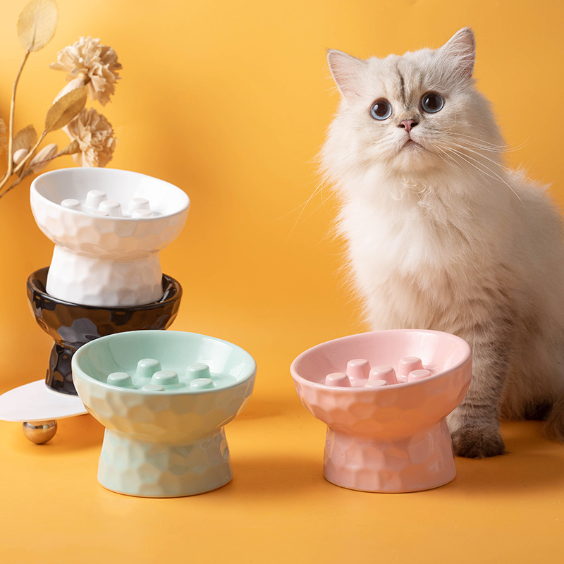 Slow Cooker Ceramic - 1pc kattenbak keramiek hoge voet slow