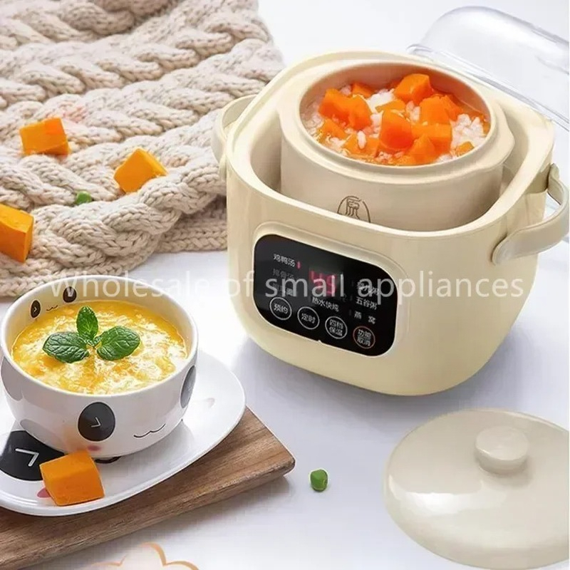 220V Keramische Elektrische Sl - Slow Cooker Ceramic recensie en prijs