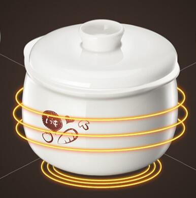 beer HUISHOUDEN min elektrisch - Slow Cooker Ceramic recensie en prijs