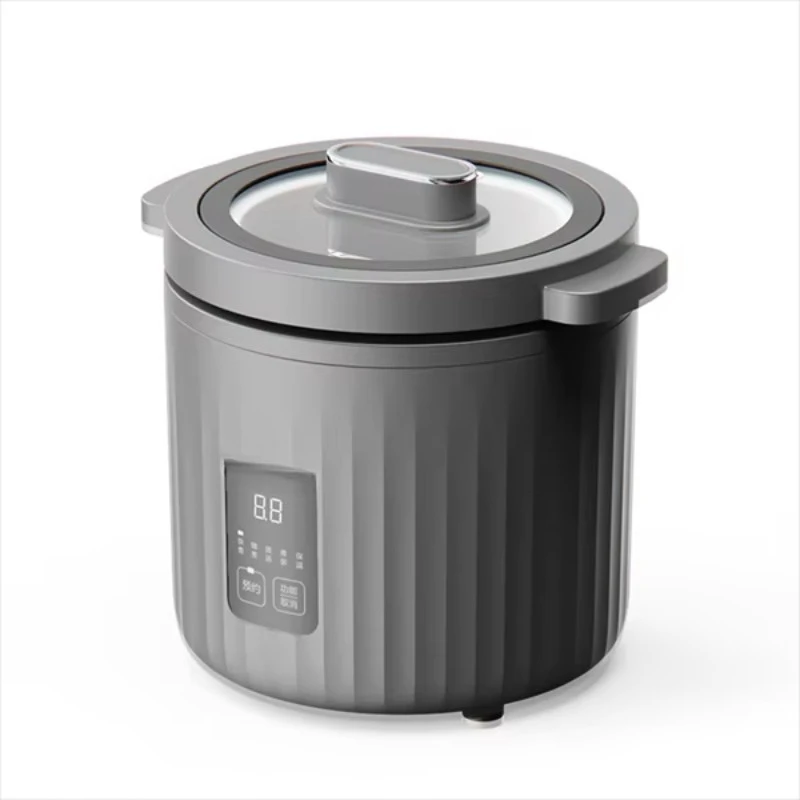 1L Kleine Mini Rijstkoker 110V - Slow Cooker Ceramic recensie en prijs