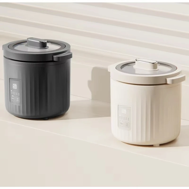 1L Kleine Mini Rijstkoker 110V - Slow Cooker Ceramic recensie en prijs