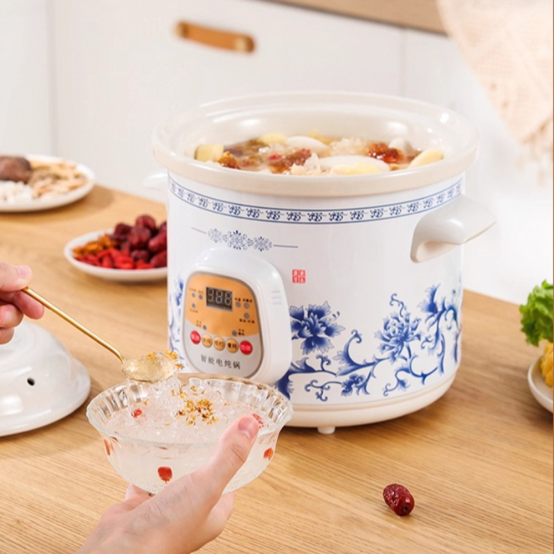 Automatische elektrische soepm - Slow Cooker Ceramic recensie en prijs